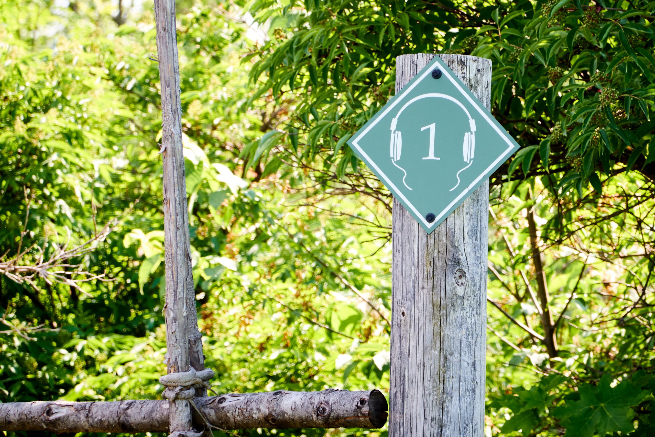 2024 05 24 Sverige 0348